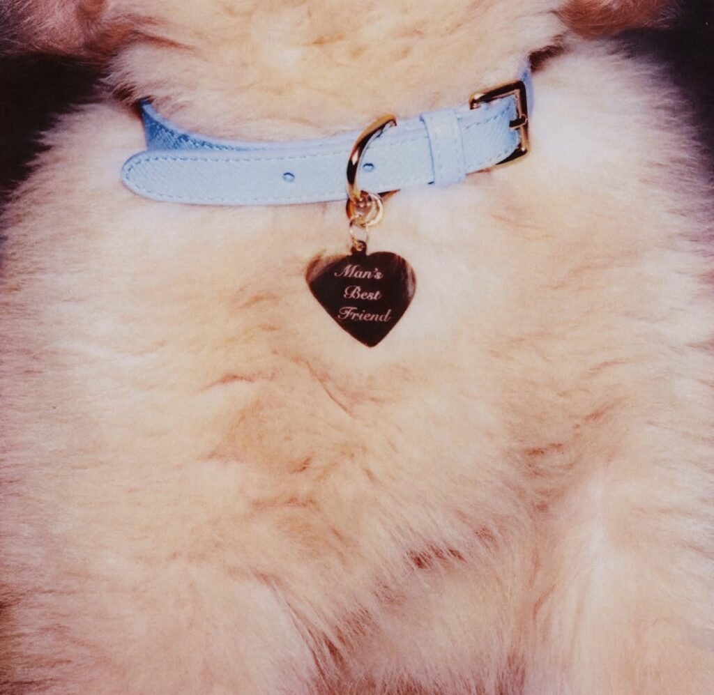 Sabrina Carpenter Manchild Man's Best Friend